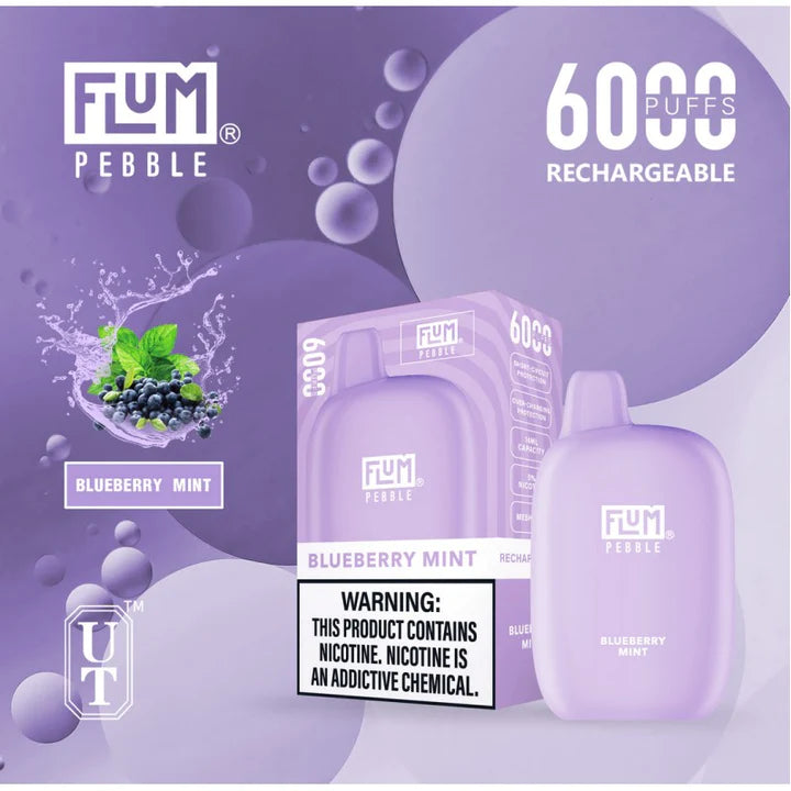 Flum Pebble 6000 Puffs