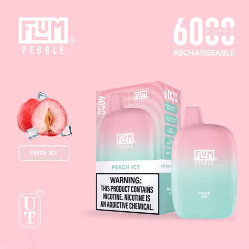 Flum Pebble 6000 Puffs